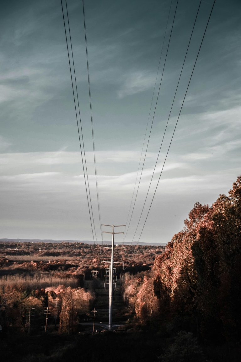 Utility Post Near Trees Under Cloudy Sky